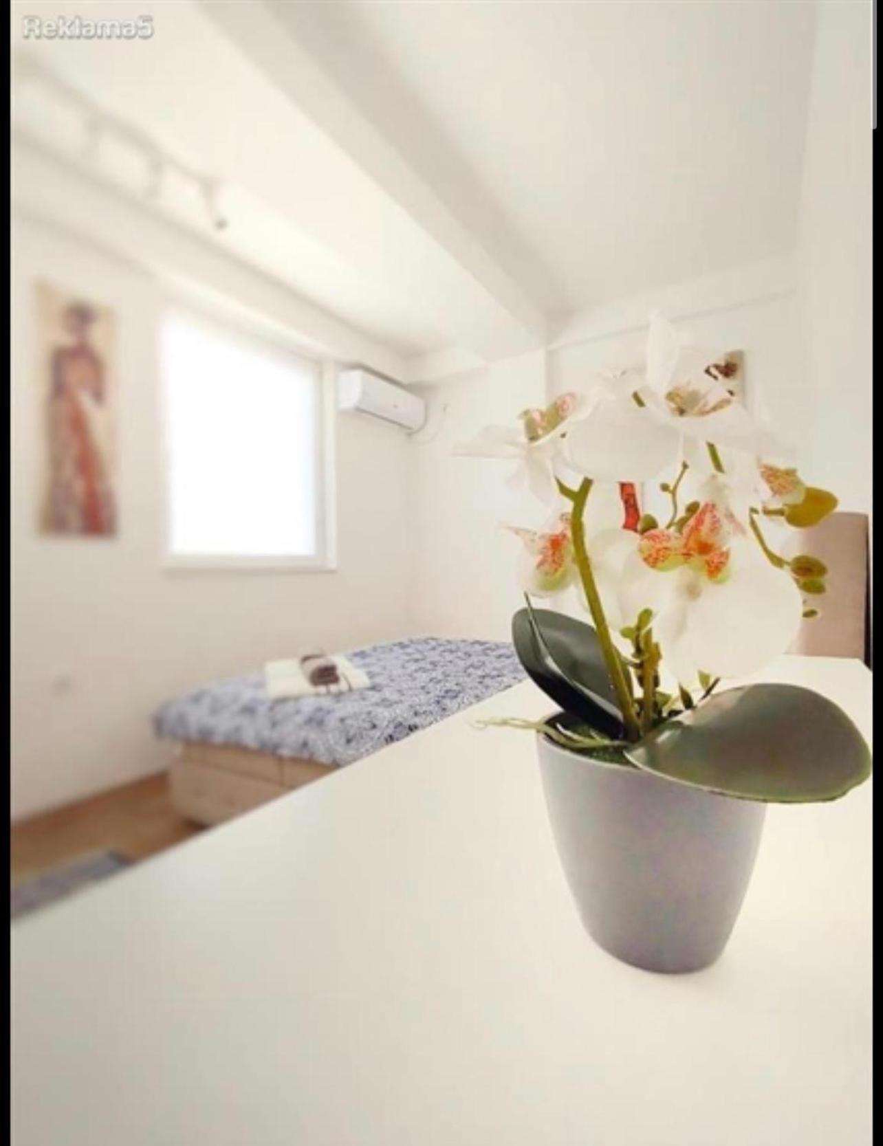 Luxury Skopje Apartments Luaran gambar